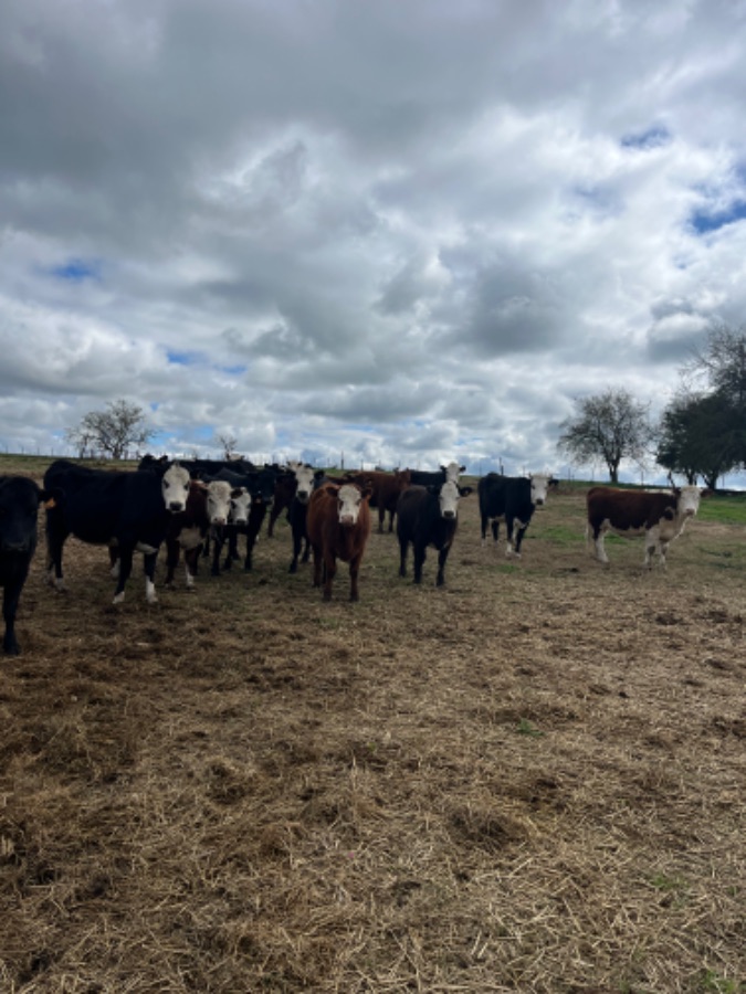 LOTE21 | Lote 123 | Rte.: 213